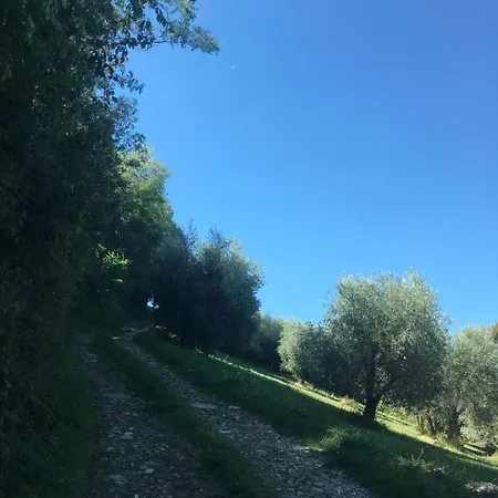 Βίλα San Regolino Whit Private Pool *