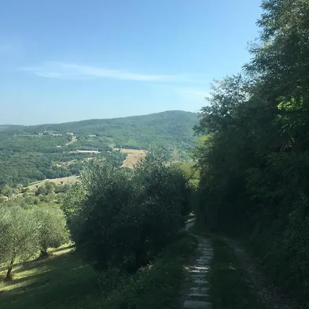 San Regolino Whit Private Pool Radicondoli